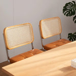 Rattan Modern Dining Chairs with Metal Legs