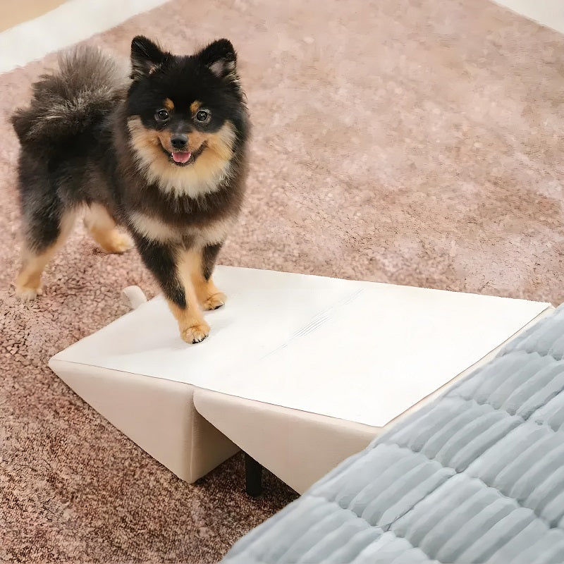 2-in-1 Foldable Dog Stairs Step Stool