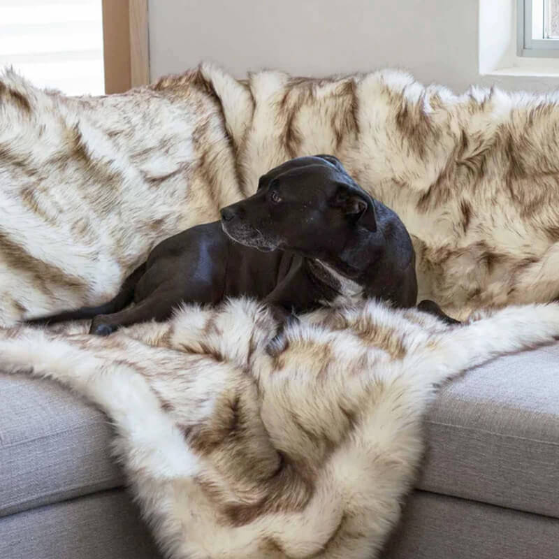 black fur dog blanket couch protector