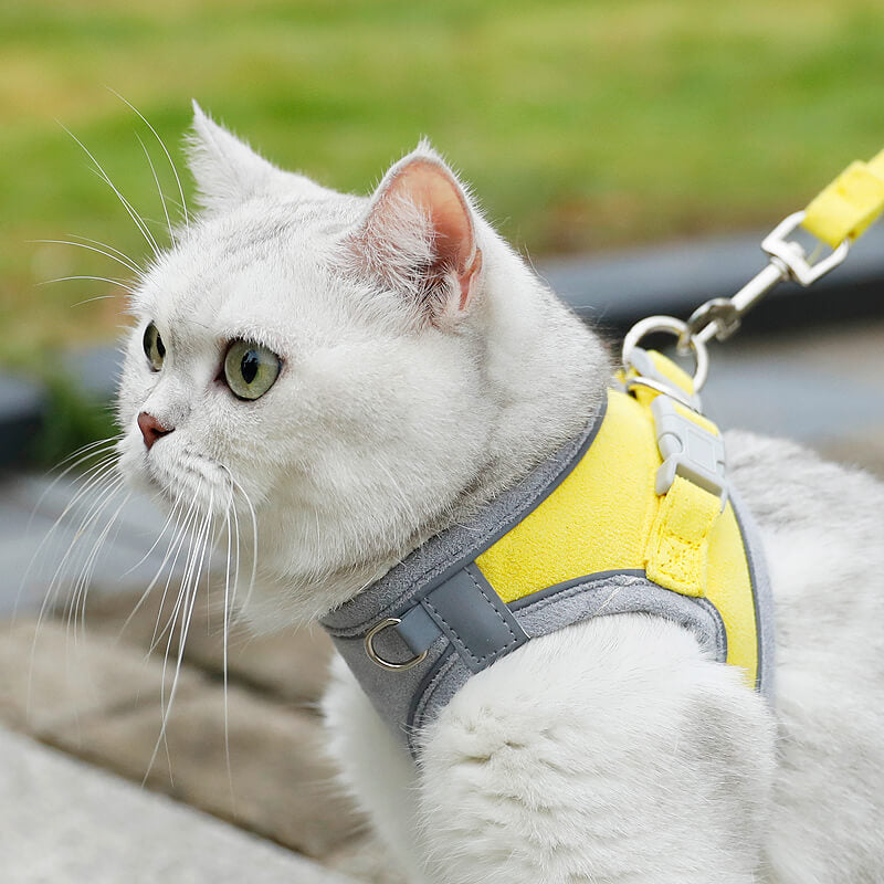 Escape Proof Cat Harness and Leash Set