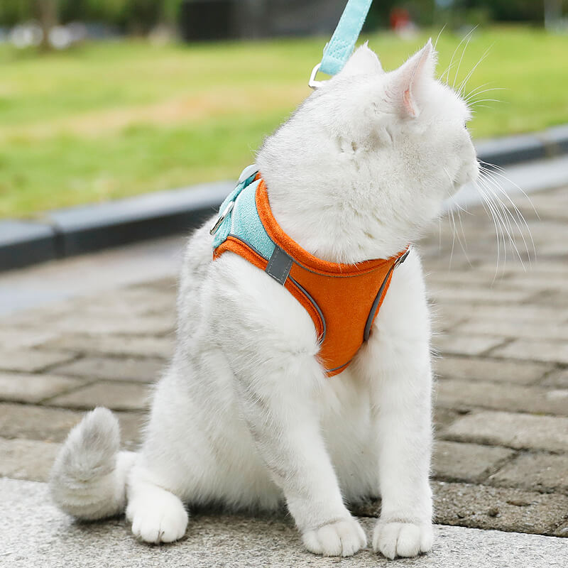 Escape Proof Cat Harness and Leash Set