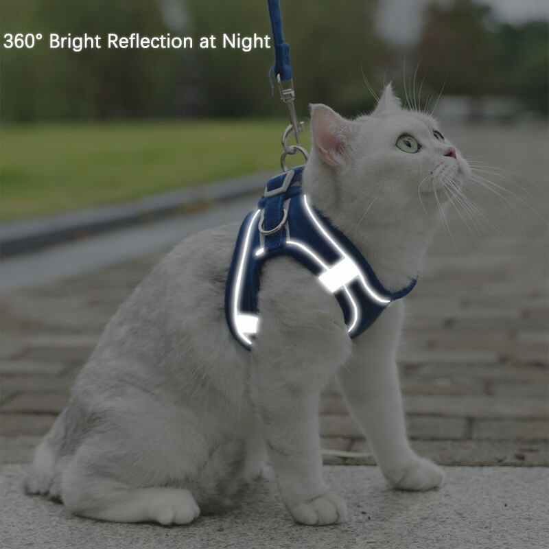 Escape Proof Cat Harness and Leash Set