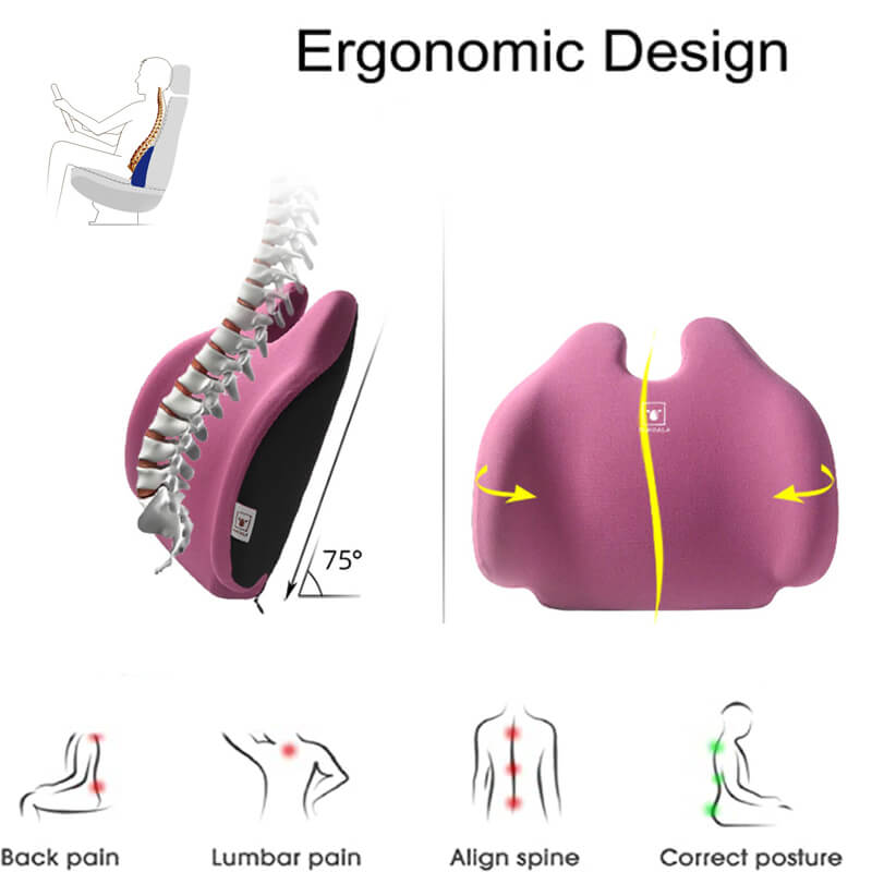 Lumbar Support Pillow for Car and Chair, Ergonomic Lumbar Support