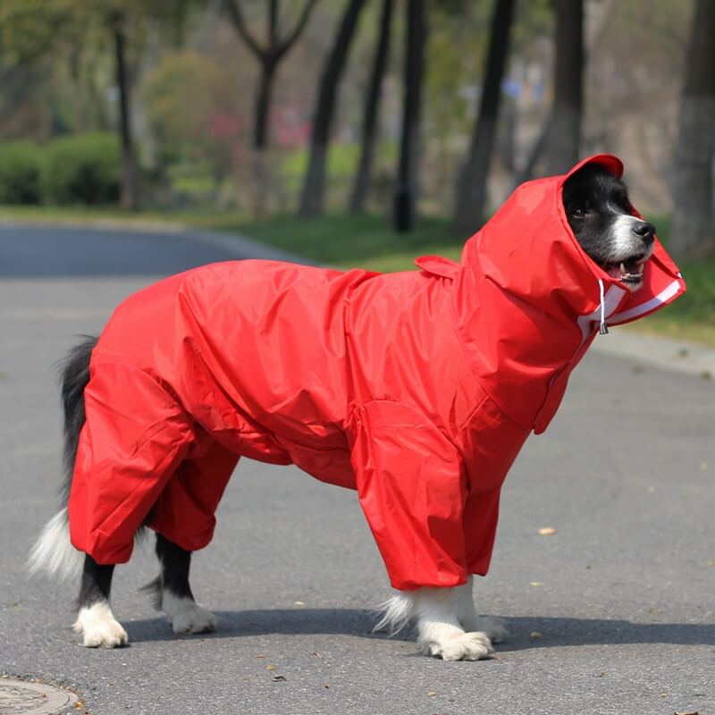 Waterproof Dog Raincoat with Hood and Leash Hole