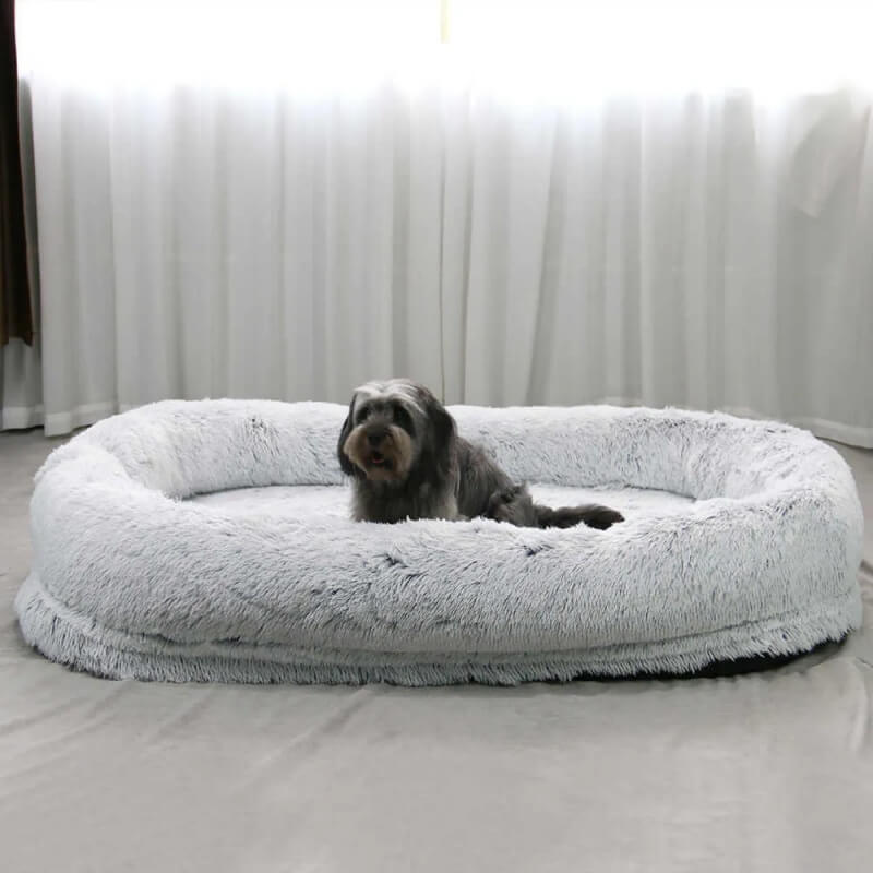Adult Dog Beds for Humans