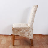 Stretch Crushed Velvet XL Chair Covers-champagne