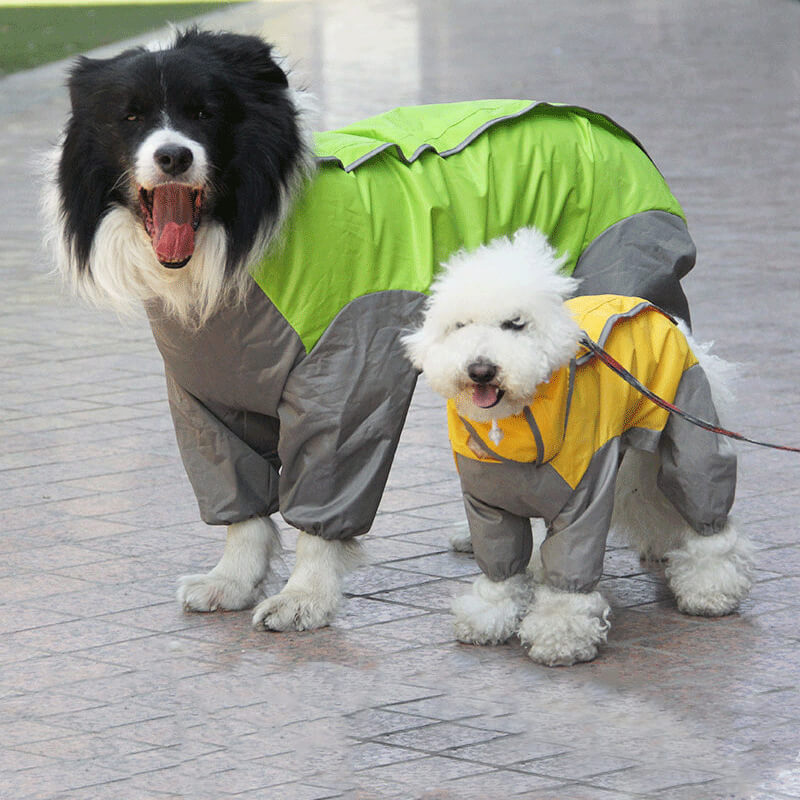 Waterproof Dog Raincoat with Hood and Leash Hole