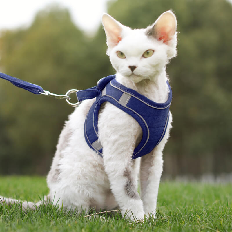 Escape Proof Cat Harness and Leash Set