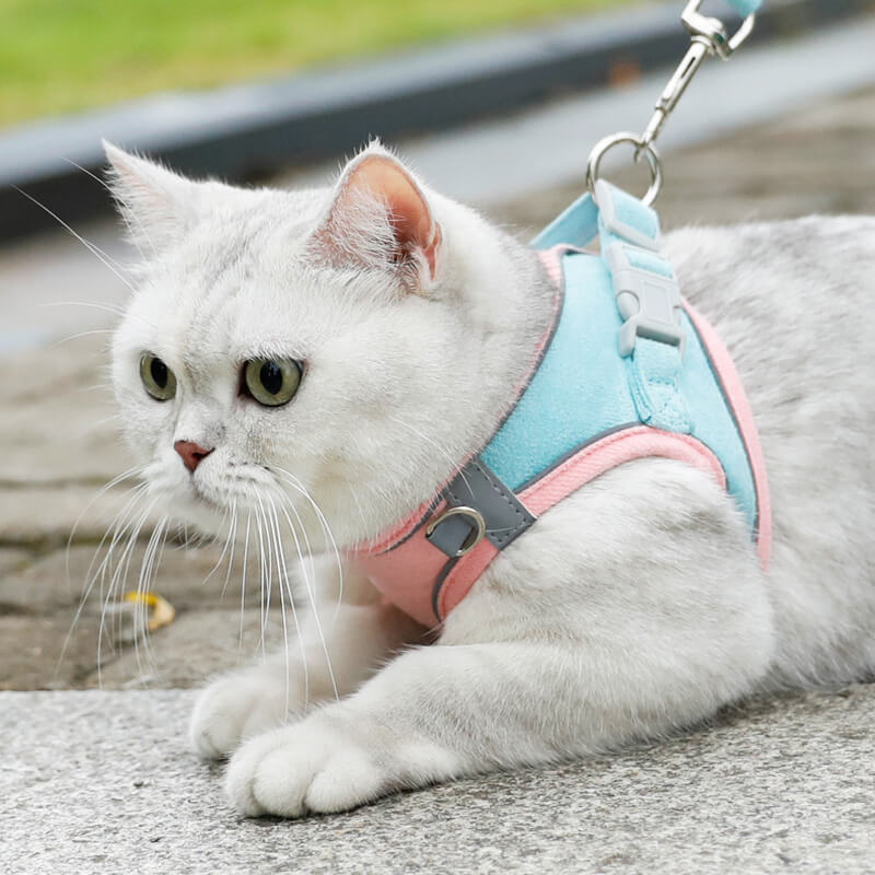 Escape Proof Cat Harness and Leash Set